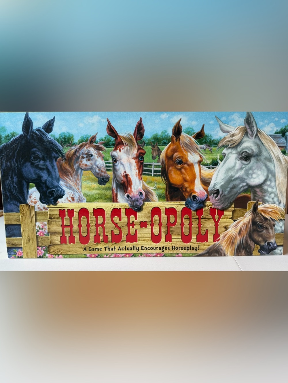Horse-opoly Horse Themed Monopoly Style Board Game Equestrian Ranch Western EUC